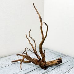 【枝ぶり最高品質】プレミアムブランチウッド/Branchwood【B001】