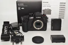 2024年最新】dc-gh5sの人気アイテム - メルカリ