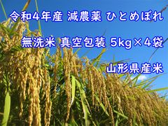令和4年産 減農薬 ひとめぼれ 5kg × 4袋 計20kg 山形産 無洗米
