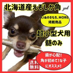 【送料無料】超小型犬用🐶髄のみ✅パピーもok、歯が心配な子用🦌北海道産エゾ鹿の角🦌犬のおもちゃ🐕鹿の骨　A