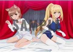 とある科学の超電磁砲T 御坂美琴 食蜂操祈 描き下ろしB1布ポスター アマゾン限定