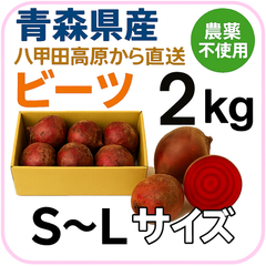 【数量限定】青森県　八甲田高原産　Sサイズ〜Lサイズ　甘いビーツ 2kg 農薬不使用／有機肥料栽培