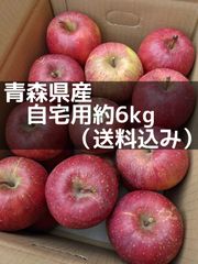青森県産　りんご　6kg　送料無料