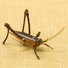 2025年最新】竹細工 昆虫の人気アイテム - メルカリ
