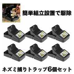 Item thumbnail for item 9164d95e-f761-4689-857c-cd84c3cc6351