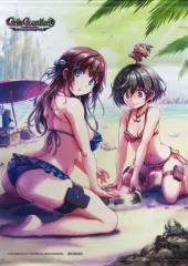 【中古】タペストリー 神園しのぶ＆神園真夜 B2タペストリー 「PS5/Switchソフト Grim Guardians： Demon Purge」 トレーダー購入特典