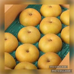 希少☆訳あり大量☆呉羽梨☆８〜１０玉入箱☆限定破格☆富山県産☆呉羽梨☆