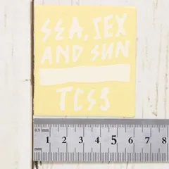 [クリックポスト対応] TCSS ティーシーエスエス STICKER ステッカー The Critical Slide Society ASTICK18のサムネイル