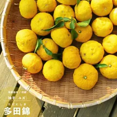 2026年最新】種なし柚子の人気アイテム - メルカリ
