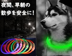 Item thumbnail for item 144d47c7-a7cf-425a-8333-5c0f8b01dbfd