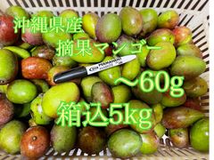 沖縄県産　摘果マンゴー　箱込5kg