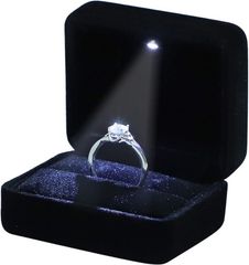 Item thumbnail for item 00506b85-01ca-43db-80e6-e91b8118a4cf