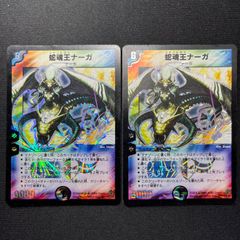 2455 青緑白ドラッヘダーバンデ(トリーヴァアドベンチャー