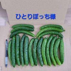 ひとりぼっち様