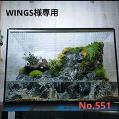 滝の流れるイモリウム WINGS様専用 - メルカリ