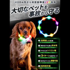 Item thumbnail for item fb818caf-e8be-4d5f-aa36-dacd96d2def5