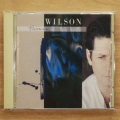 BRIAN WILSON『BRIAN WILSON』【廃盤・中古CD】 - メルカリ