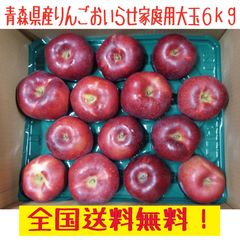 青森県産　りんご　おいらせ　大玉　１２～１６玉　６ｋｇ前後　送料無料