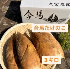 合馬たけのこ　3キロ