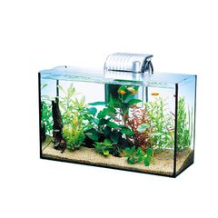 テトラ (Tetra) ガラス 水槽 オールグラスアクアリウム GA-420F 水槽 熱帯魚 メダカ 金魚