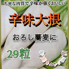 辛味大根の種　おろし大根　おろし蕎麦に