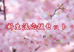 新生活応援セット　自家焙煎珈琲豆400g（100g×4個）