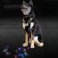 EU SOU 光るリード 犬 LED USB充電 夜間 発光 散歩 ライト 犬用 小型犬 中型犬 大型犬 ペット用品(ブラック,  120CM)