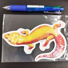 送料無料　Leopard gecko　レオパ　「ヒョウモントカゲモドキ（イエロー）マグネットシート」（約１０２ｍｍ×約１５３ｍｍ）１５㎝オーバー！