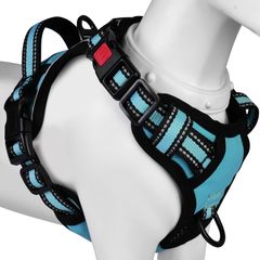 Item thumbnail for item b34219d9-b4a6-464e-9013-ebf960b63b4e