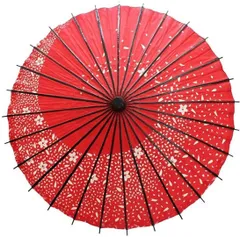 2024年最新】和傘 踊り傘 舞傘の人気アイテム - メルカリ