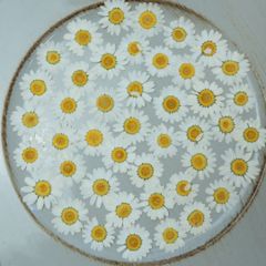 Item thumbnail for item 81812b78-2002-45b4-b6b7-9c97dfd27305