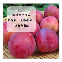 【信州プラム（すもも）】朝採れ「大石早生」※訳あり約3kgのサムネイル