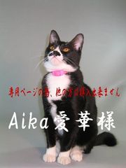Aika愛華 様　専用ページ