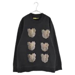 RAF SIMONS (ラフシモンズ) 14AW × STERLING RUBY スターリングルビー 仙骨 プリント スウェット トレーナー ブラック 142‐108のサムネイル