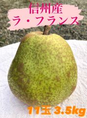 ★信州産西洋梨【ラ・フランス】12玉3kg強