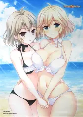 【中古】タペストリー 柴宮水澄&えくれあ こ~ちゃ先生描き下ろしB2タペストリー 「Switchソフト ウィッチズガーデン」 トレーダー購入特典