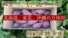 北海道、東北、沖縄の方専用　なると金時　丸型　M,L,２Lサイズ５㎏