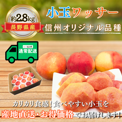 小玉ワッサー〜信州生まれの新食感フルーツ〜【内容量】約2.8kg【配送方法】通常配送【サイズ】L以上【品目】ワッサー【品種】当店お任せ【産地】長野県【規格】ご家庭用A品【販売会社】有限会社青木青果