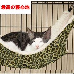 ねこ用ハンモック Sサイズ アニマル柄 ねこハンモック キャットベッド  寝袋 猫 ネコ ベッド サークル 簡単設置 アニマル