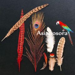 ◾️⭐︎【色んな羽根】赤セット 孔雀 キジ 鳥 羽根 フェザー パーツ スワッグ