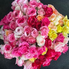 バラ B品 切り花・生花【画像参照】30㎝　100本　規格外品・お得品　産地直送！鮮度抜群！　おまかせミックス