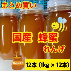蜂蜜　国産　12kg   れんげ蜂蜜　蜂蜜国産　1kg×12本   ハチミツ　生蜂蜜100%   非加熱　九州産　純粋蜂蜜　はちみつ　はちみつの王様　レンゲ　国産はちみつ　白湯　白湯活　白湯蜂蜜