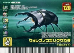 2025年最新】ノコギリクワガタ ムシキングの人気アイテム - メルカリ