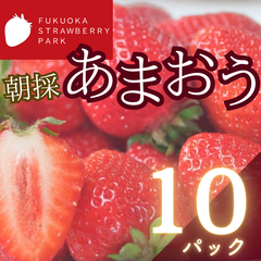 福岡県産あまおういちご 10パック (2850g)