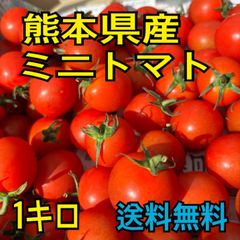 産地直送　熊本県産　ミニトマト　箱込み　1キロ　秀品