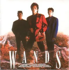 激安人気新品 △貴重△WANDS(上杉昇/柴崎浩)△財布△グッズ△ 推奨