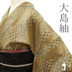 2025年最新】本場大島紬 単衣の人気アイテム - メルカリ