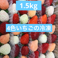 いちご　苺　4色　食べ比べ　冷凍