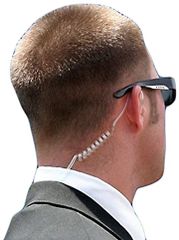 Item thumbnail for item 4733e9ed-642d-401d-8416-e336c1e041d7