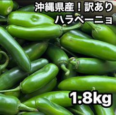 特別栽培】沖縄県産良品 激辛青唐辛子ホットパラソル1kg⭐️12時間以内